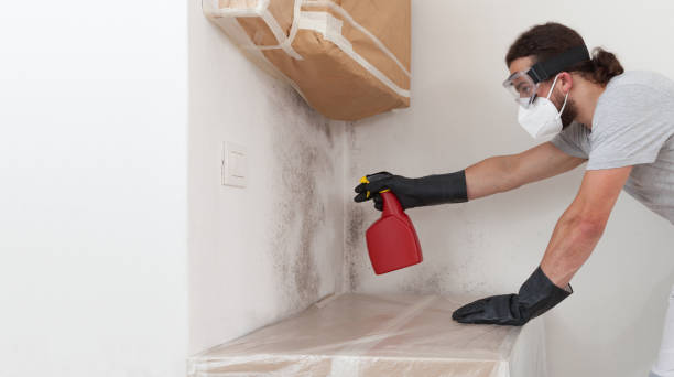 Basement Mold Remediation treatment on basement walls in Oxford